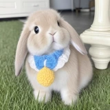 Кролик, милый шарф, плетеный слюнявчик, чокер, нагрудник, декор, домашний питомец, кот