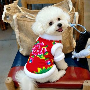 洋气新款超萌狗狗衣服秋冬款保暖泰迪柯基猫咪小型犬加厚宠物衣服
