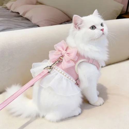 猫咪牵引绳防挣脱外出专用溜猫绳幼猫背心式可调节粉嫩蝴蝶结胸背