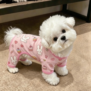 夏季狗狗衣服薄款四脚衣透气防晒防掉毛英短布偶德文幼猫小狗服饰