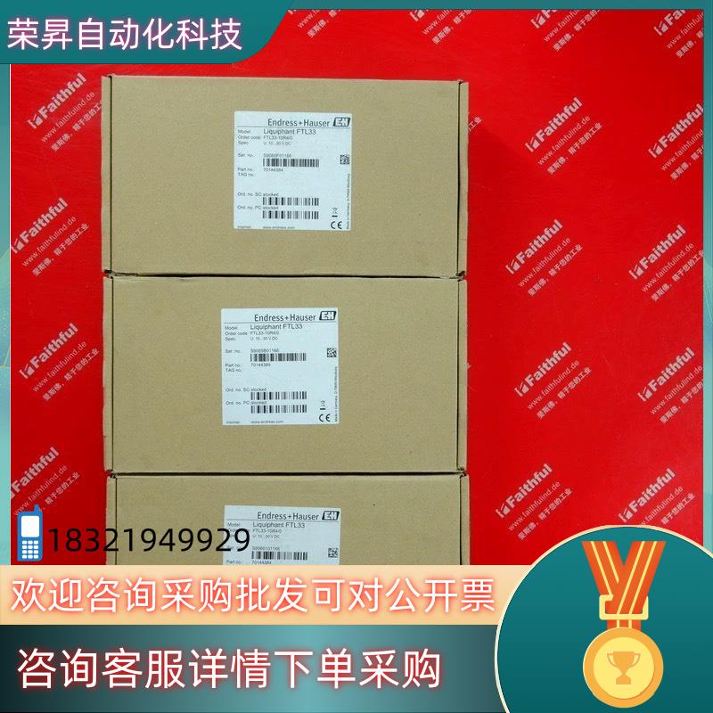 现货E+H FTL33-AA4M3ABWSJ 恩德斯豪斯全新音叉