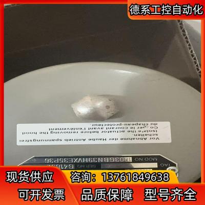 德国拜爵badger meter3/4寸伺服电机控制阀  型