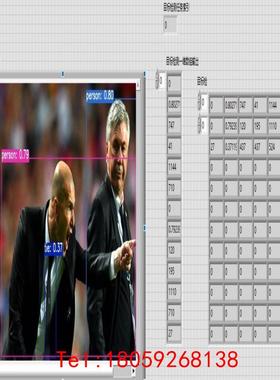 【非标价】labview yolov8分类，目标检测，实例分割，关键点