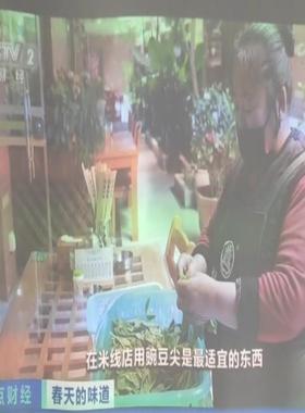 丽讯 ViVitek D85ESTD投影机 裸机无任何配件