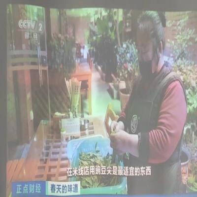 丽讯 ViVitek D85ESTD投影机 裸机无任何配件