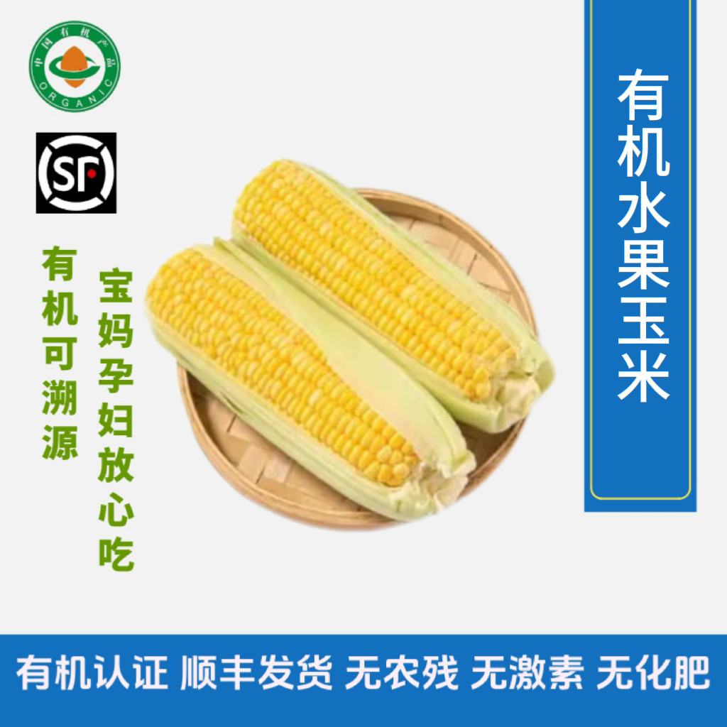 有机水果玉米 鲜嫩多汁甜玉米 甜脆口感 有机认证宝宝爱吃