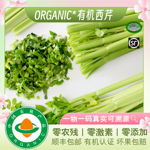 【限时折扣】有机西芹 去大部分叶子新鲜健康无农残 榨汁食疗芹菜