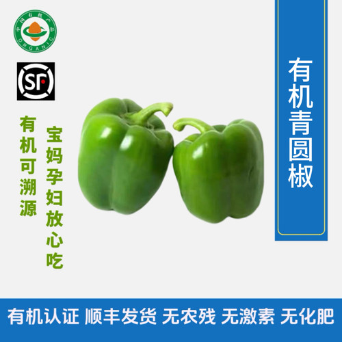 有机青椒新鲜蔬菜当季现摘