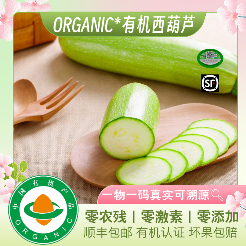 有机西葫芦新鲜现挖现发无激素无农药健康美味