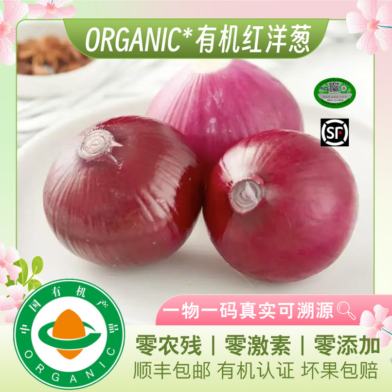 有机洋葱新鲜蔬菜时令青菜火锅菜现摘现发有机认证
