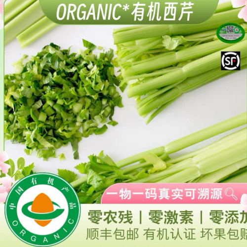 折扣有机西芹去叶子新鲜健康无农残 榨汁食疗芹菜