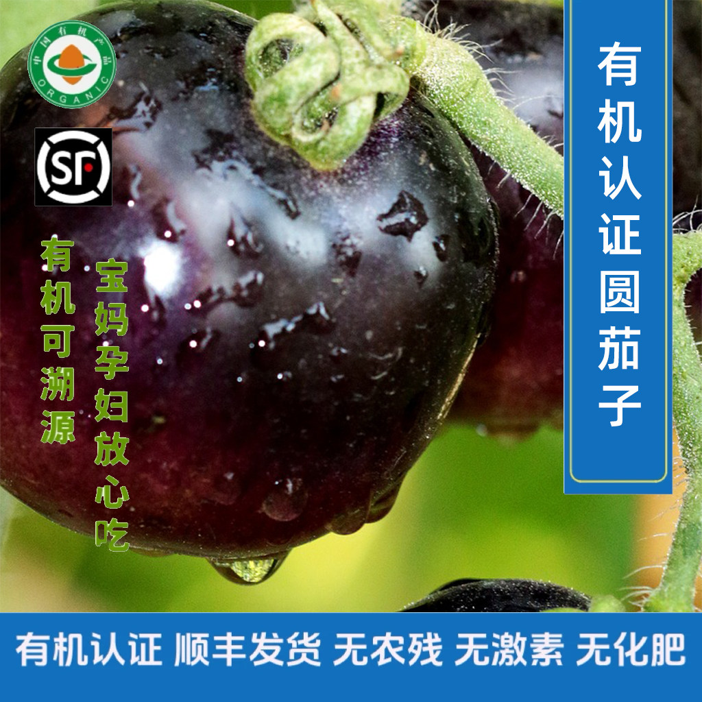 【新鲜有机】有机圆茄子顺丰包邮3斤泡沫箱装紫茄子有机蔬菜