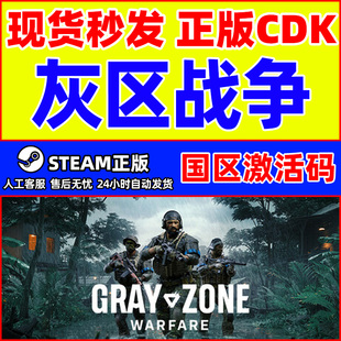 Zone Gray Warfare 国区激活码 PC游戏 steam游戏 CDKey 灰区战争