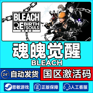 Steam BLEACH死神魂魄觉醒BLEACH Rebirth of Souls国区激活码CDK