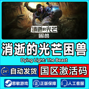 steam游戏 消逝的光芒困兽 Dying Light 国区激活码CDKey PC正版