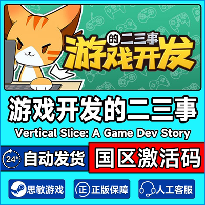 Steam 中文游戏 游戏开发的二三事 国区激活码CDKEY 正版PC游戏