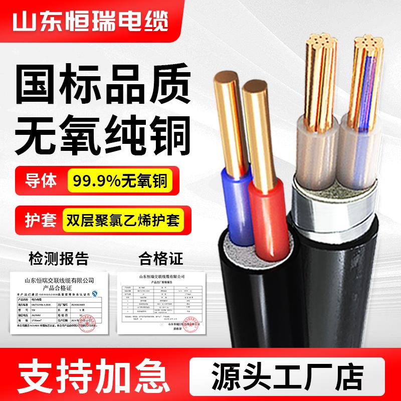 国标纯铜铠装yjv电缆线2芯4/6/10/16/25平方0.6/1kv工程地埋电线