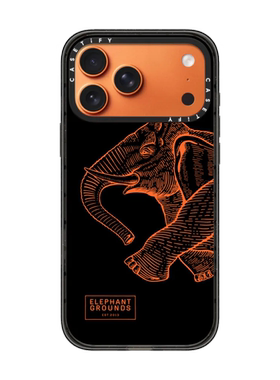 现货CASETiFY正品EG_07大象适用于苹果iPhone17 Pro Max手机壳16/15/14磁吸13个性创意小众高端防摔保护套12