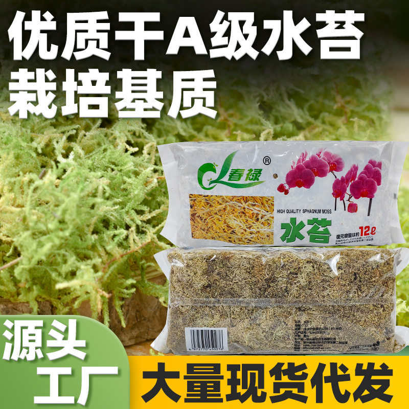 干水苔微景观水苔花卉营养基质