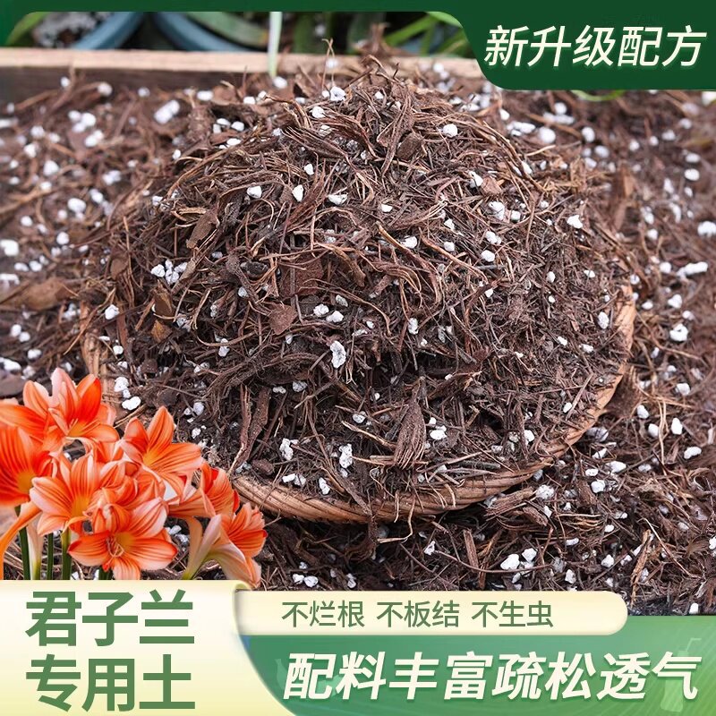 专用土花卉发酵腐殖叶茶花杜鹃兰