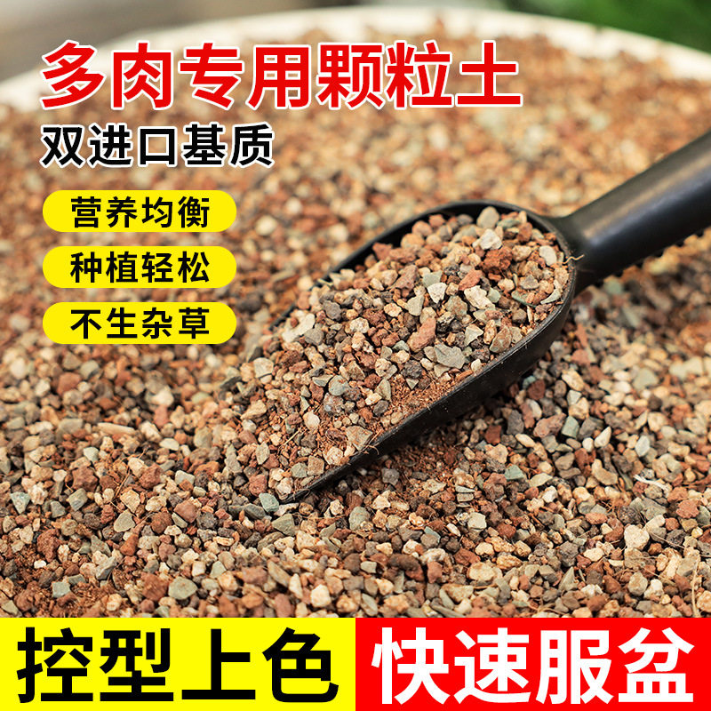 多肉植物营养土进口泥炭土多肉土