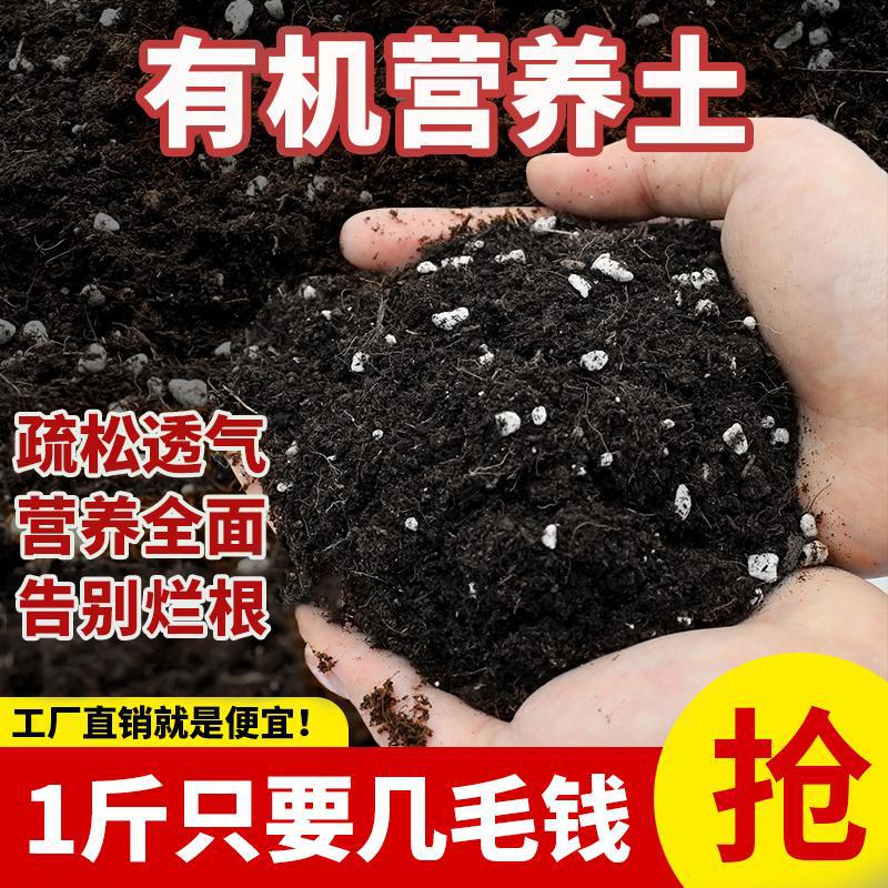 营养土养花种菜专用土家用多肉盆