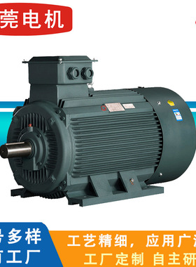 东莞电机环球 TVF系列永磁同步电动机 过载能力强 380V