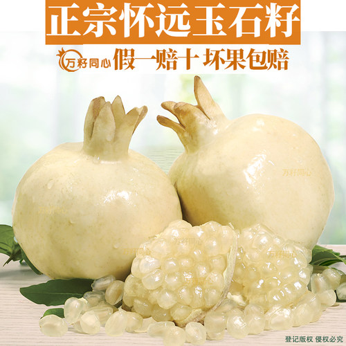 正宗怀远石榴白花玉石籽优质正品