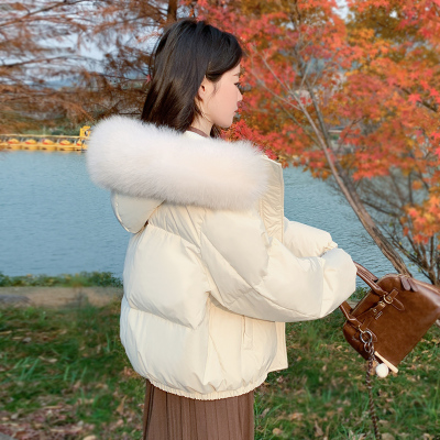 漫舞精灵粉色大毛领短款羽绒服