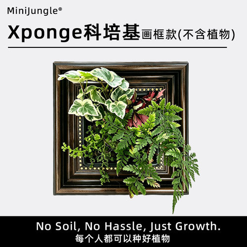 草木计划无土DIY花卉绿植相框