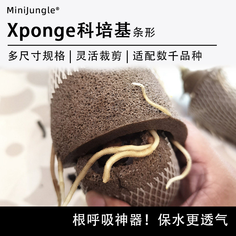 【Xponge科培基】无土多肉海绵水培基质懒人花盆代替水苔手工造型