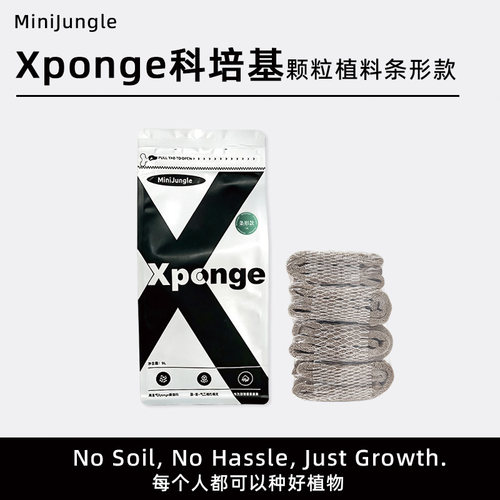 【Xponge科培基】无土多肉海绵水培基质懒人花盆代替水苔手工造型