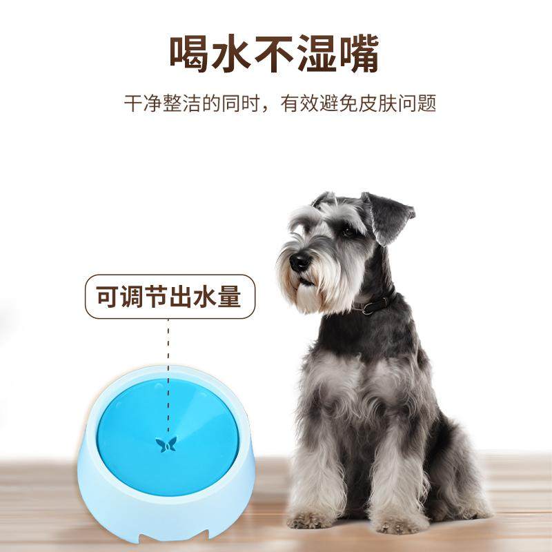 狗狗不湿嘴喝水碗饮水器