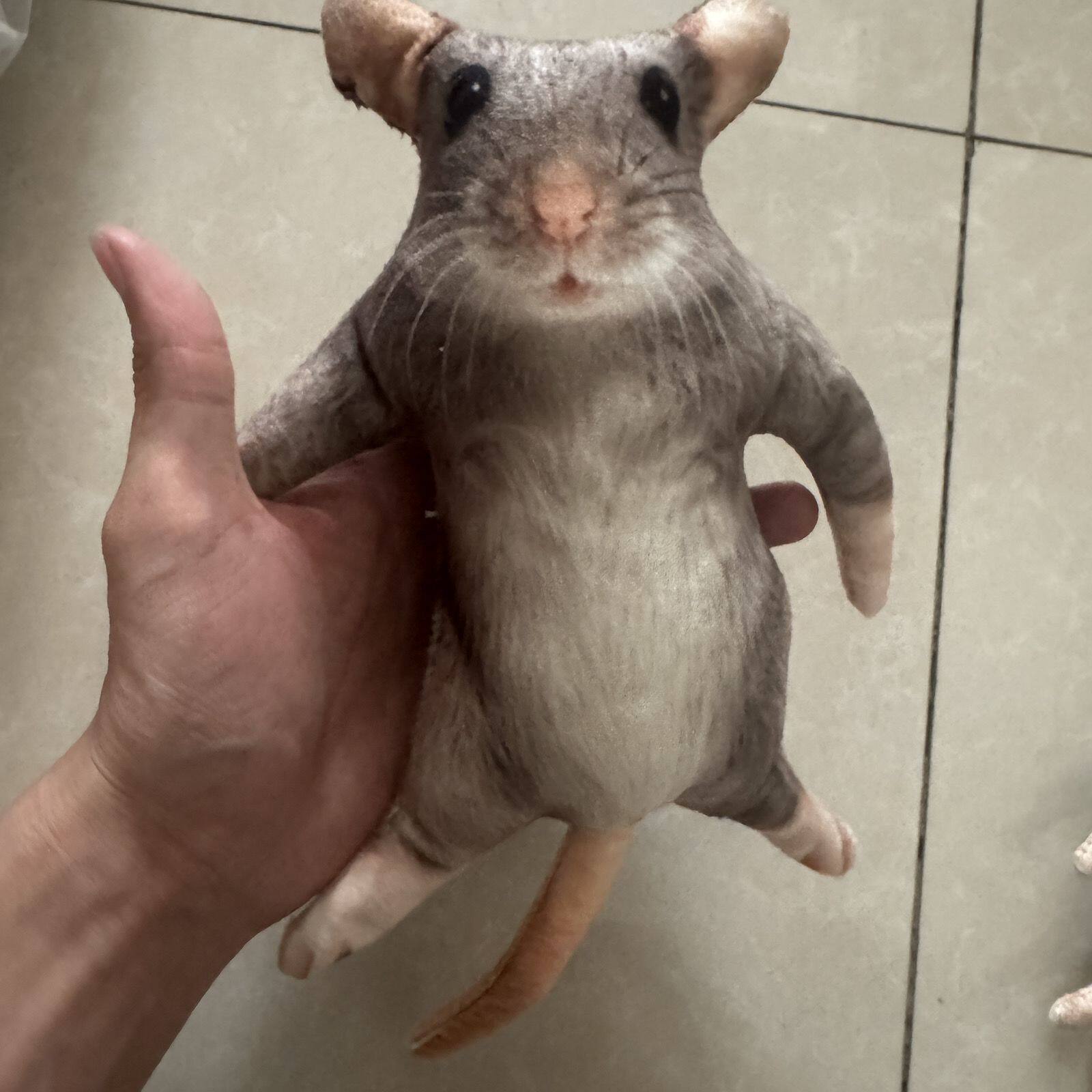 thumbnail for Realistic mouse pendants, humorous, funny, and prank plush plush toys with skeletons, designed to be given as gifts to friends