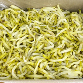 涪陵特产香辣榨菜丝9斤散装 大袋淹制榨菜泡菜小菜凉菜咸菜下饭重