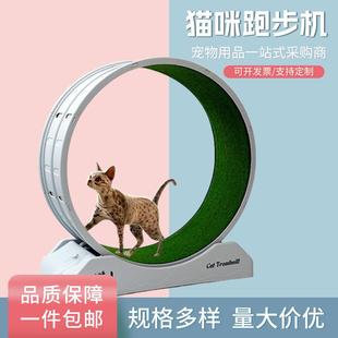 跨境直供貓咪跑步機(jī)健身磨爪運(yùn)動(dòng)多功能跑步機(jī)逗貓玩具一件