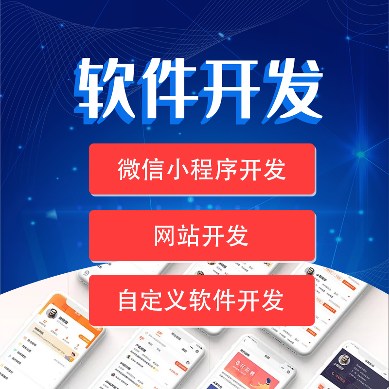 自定义软件开发_小程序_App