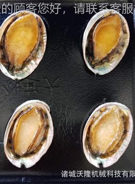 鸡柳鸡排熟食装风体鸡真空包MUW机 鲜海鲜贴体真空干包装机 贴包