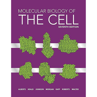 现货 英文原版 细胞分子生物学 Molecular Biology of the Cell 诺顿出版 9780393884845