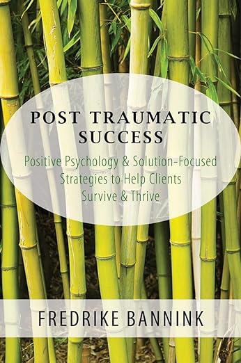 预订 进口原版 Post Traumatic Success:Positive Psychology & Solution-Focused Strategies to Help C... 9780393709223 书籍/杂志/报纸 人文社科类原版书 原图主图