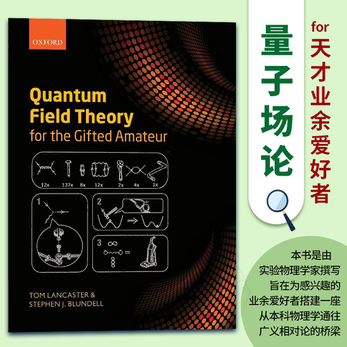天才业余爱好者量子场论高被引