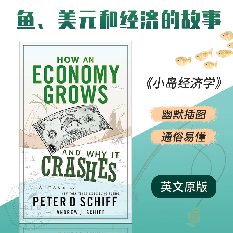 现货 英文原版 经济如何增长又为何崩溃 小岛经济学 How an Economy Grows and Why It Crashes… 9780470526705