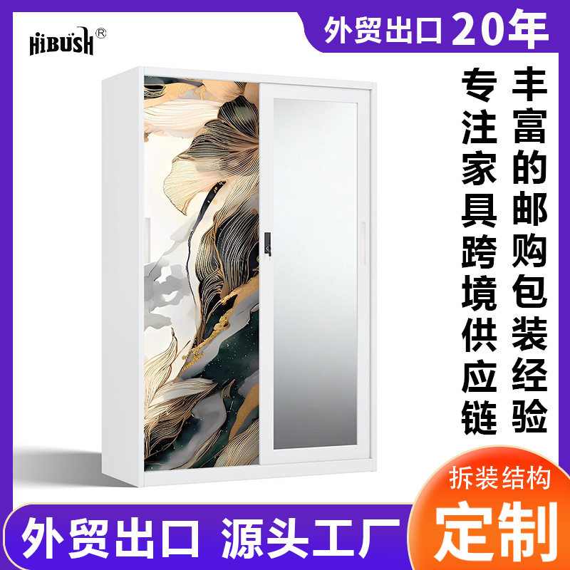 外贸出口印花衣柜卧室移门储物柜办公室公寓防潮带镜面钢制更衣柜