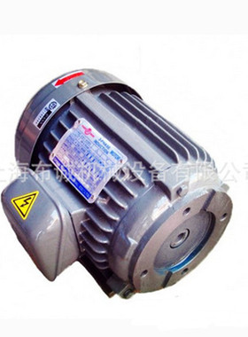 油泵专用电机 C01-43B0,C02-43B0 三相异步电机,台湾群策SY电机