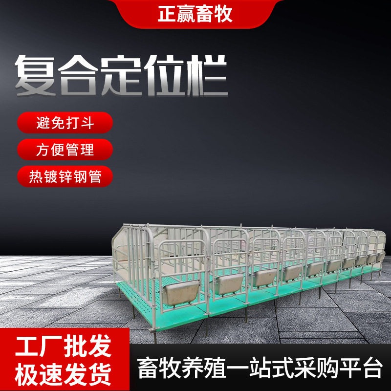大货直销定位栏养猪场小猪限位栏加厚镀锌管5头10头位母猪定位栏