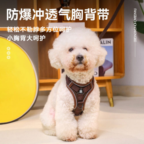 狗狗牵引绳 背心式胸背带猫狗通用小型犬遛狗绳防挣脱宠物牵引绳