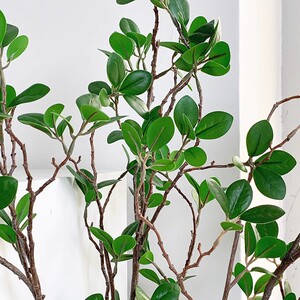 仿真手感米兰叶单支手感绿植家居落地婚礼仿真花装饰绿植木兰叶