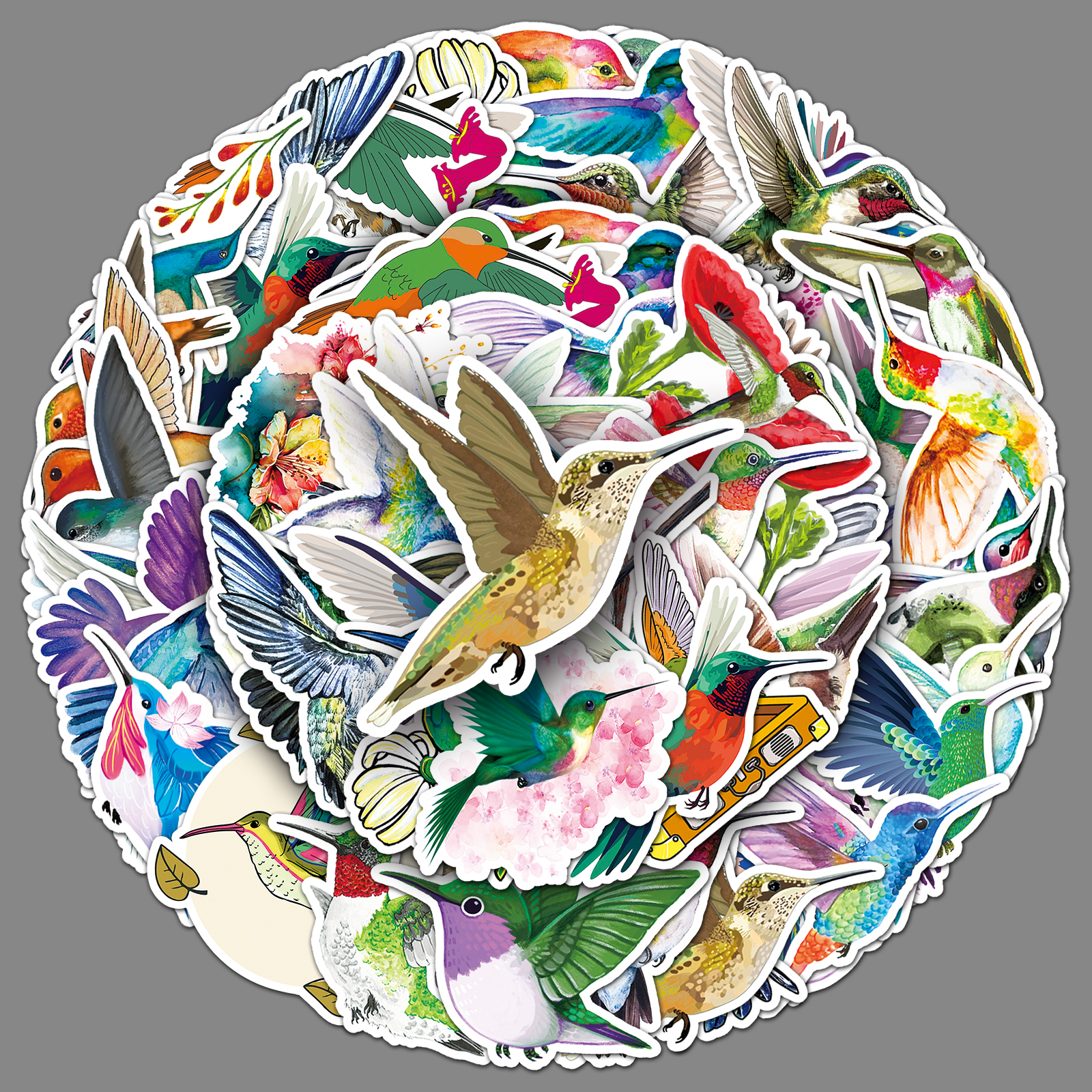 50张蜂鸟彩绘涂鸦贴纸简约可爱动物创意图案冰箱手机装饰防水贴纸