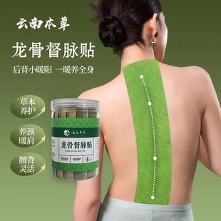 云南本草龙骨督脉贴艾灸贴灸灸脊椎全身通用透气草本养护膝盖背部