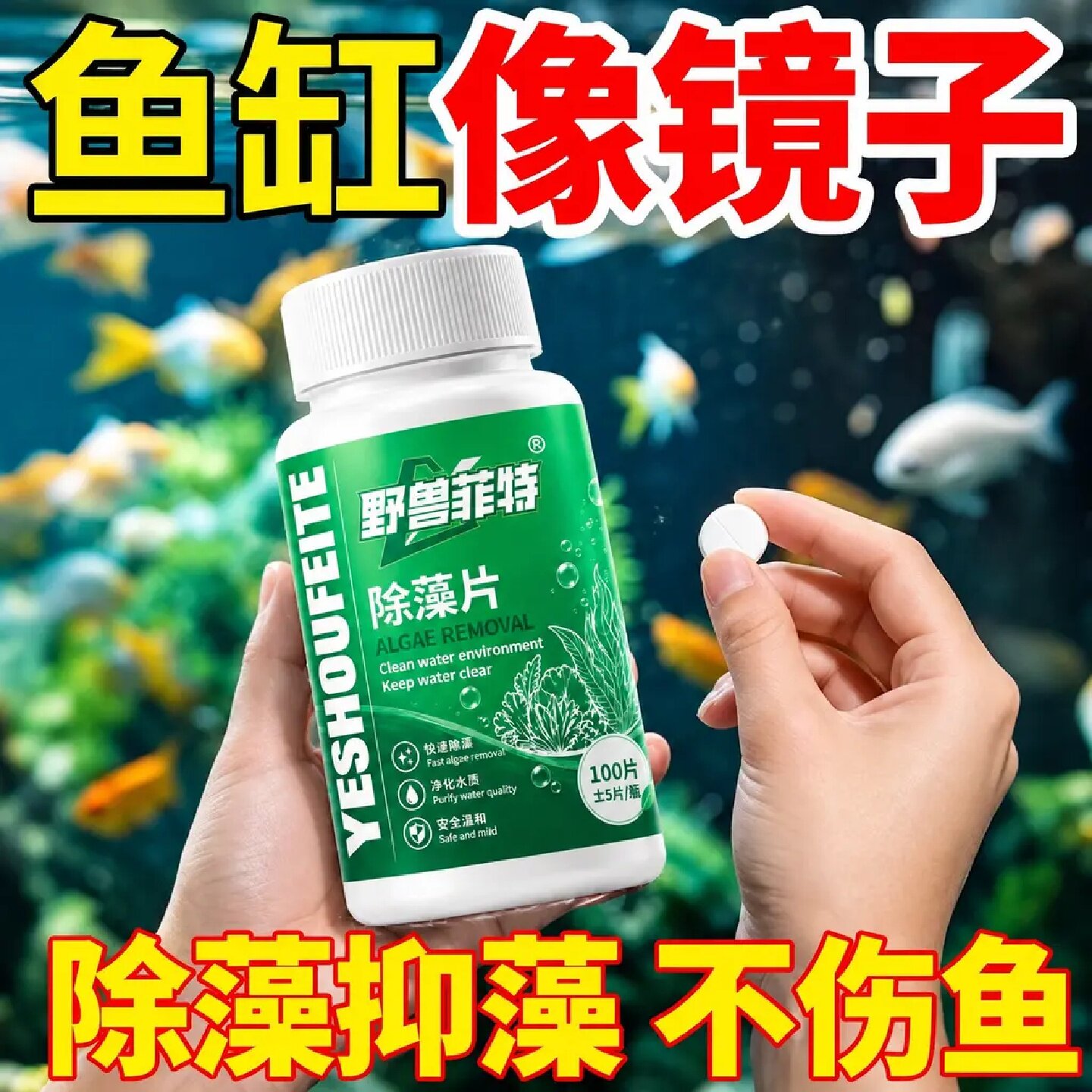 野兽菲特除藻片绿藻青苔净水片不伤鱼虾改善鱼缸除藻抑藻无需刮钢